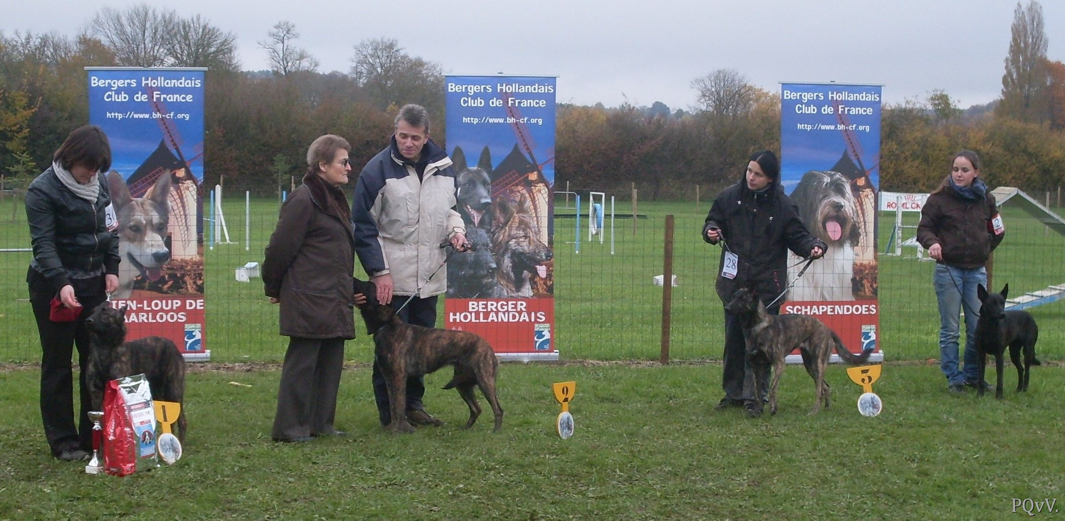  classe jeune femelles : Haley, Gylis, Gyn, Guapa